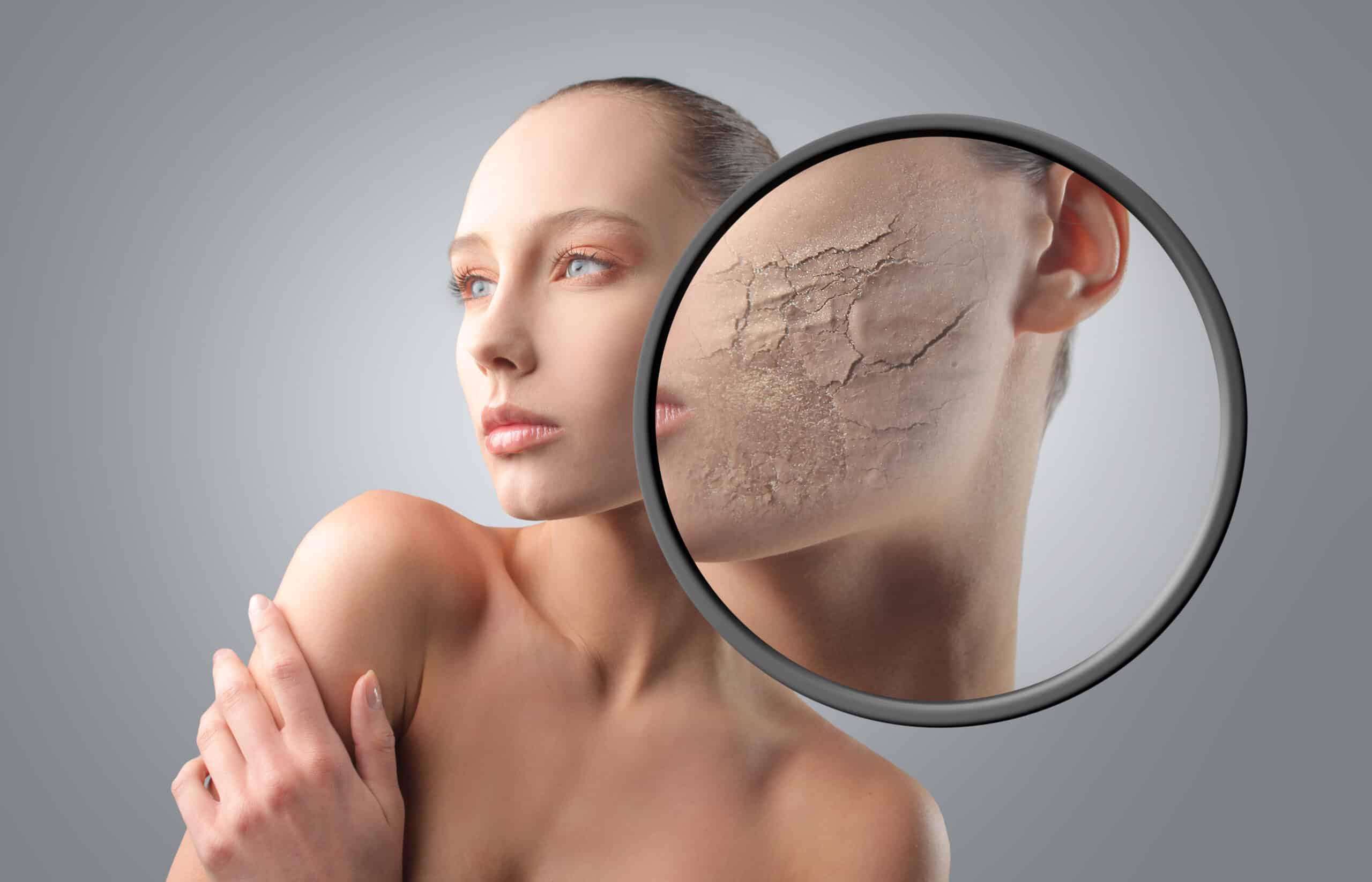 Hudterapeutstuderende lærer om hudens ældning på hudterapeut uddannelse